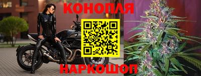 гашик Апрелевка