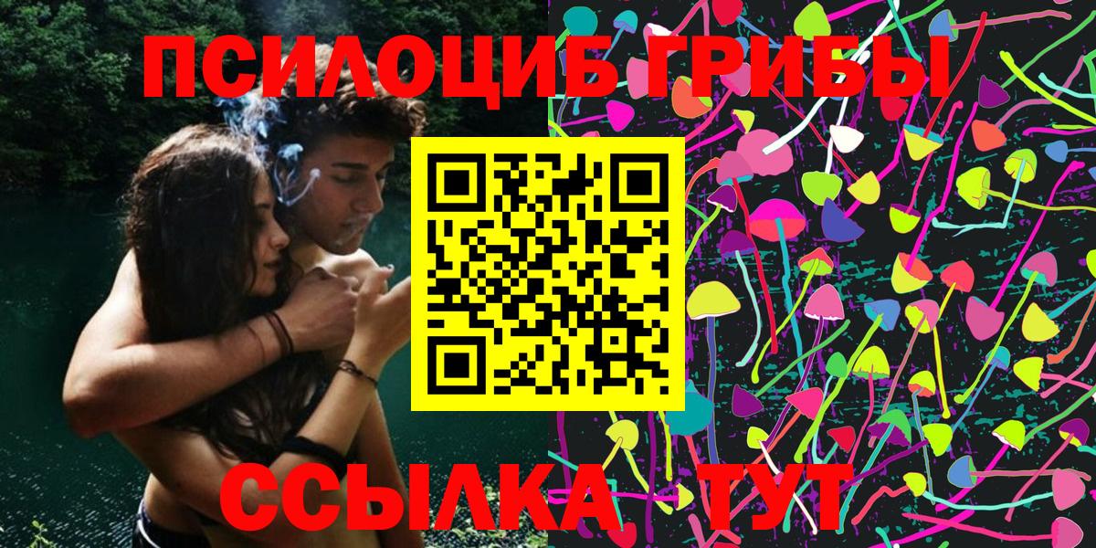 Ачхой-Мартан  Псилоцибиновые грибы Cubensis  закладка  Вход с VPN 